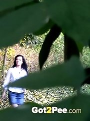 15 pictures - Woodland Stroll