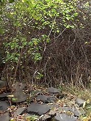 15 pictures - Sticks and Stones