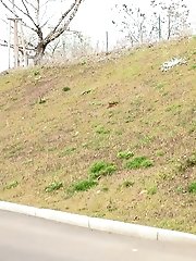 15 pictures - Redhead babe pulls down her denims to piss