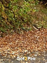 15 pictures - Pretty European gushes her piss while outside