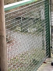 15 pictures - Blonde in pantyhose pisses on wooden decking