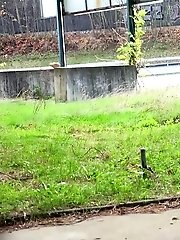 15 pictures - Gorgeous brunette pisses right next to a busy road