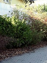 15 pictures - Shy girl pisses while a cyclist rides by