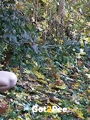 15 pictures - Woodland Stroll