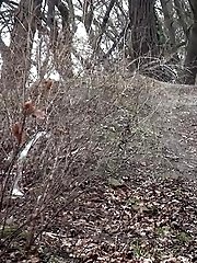 15 pictures - Pulled Panties