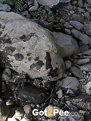 15 pictures - Floral