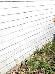 15 pictures - White Brick Wall