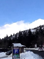15 pictures - Snowy Suburbs