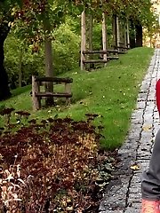 15 pictures - Pee Time On A Park Walk