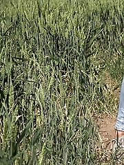 15 pictures - Brunette babe is desperate to pee while outside