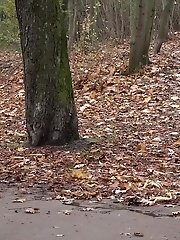 15 pictures - Gorgeous Eurobabe pisses near fallen leaves