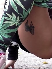 15 pictures - Cannabis Butterflies