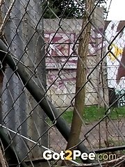 15 pictures - Through The Fence