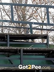 15 pictures - Sexy brunette sprays her piss outside
