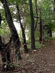 15 pictures - Sexy girl in camouflage leggings pisses in woods