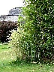 15 pictures - The Nearest Point