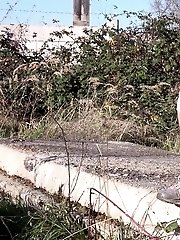 15 pictures - Babe in white capri pants pisses outside