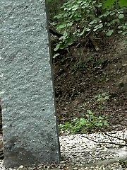 15 pictures - Bare ass is on show as a dark haired babe pees